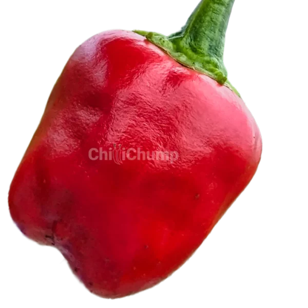 Peppadew Main