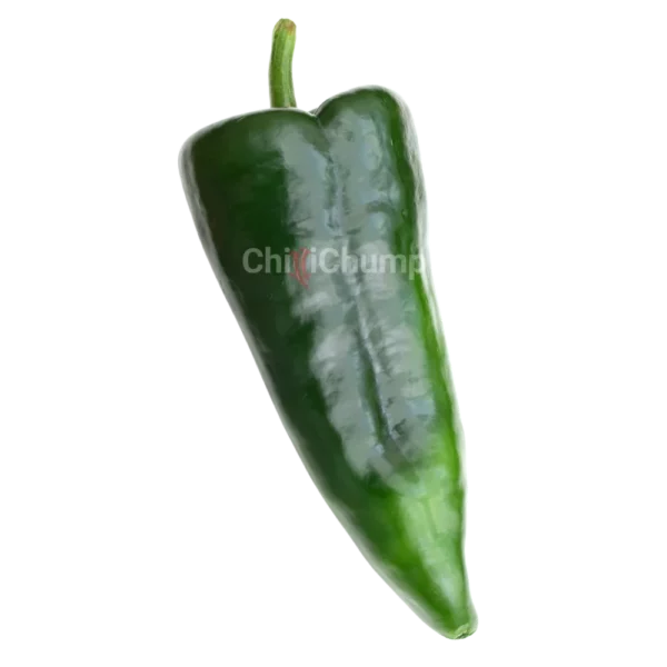 Poblano