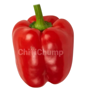 Bell Pepper