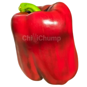 Bell Pepper